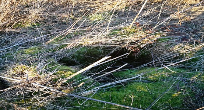 Auchtertool 17 Field Gully Or Drain Auchtertool 17 Field Gully Or Drain
