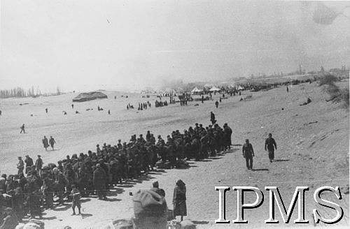 More new arrivals on the beach at Pahlevi 1942